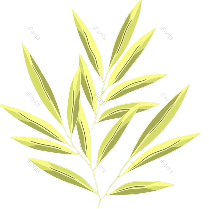 叶子图片,元素元素,卡通PNG,竹子免抠素材